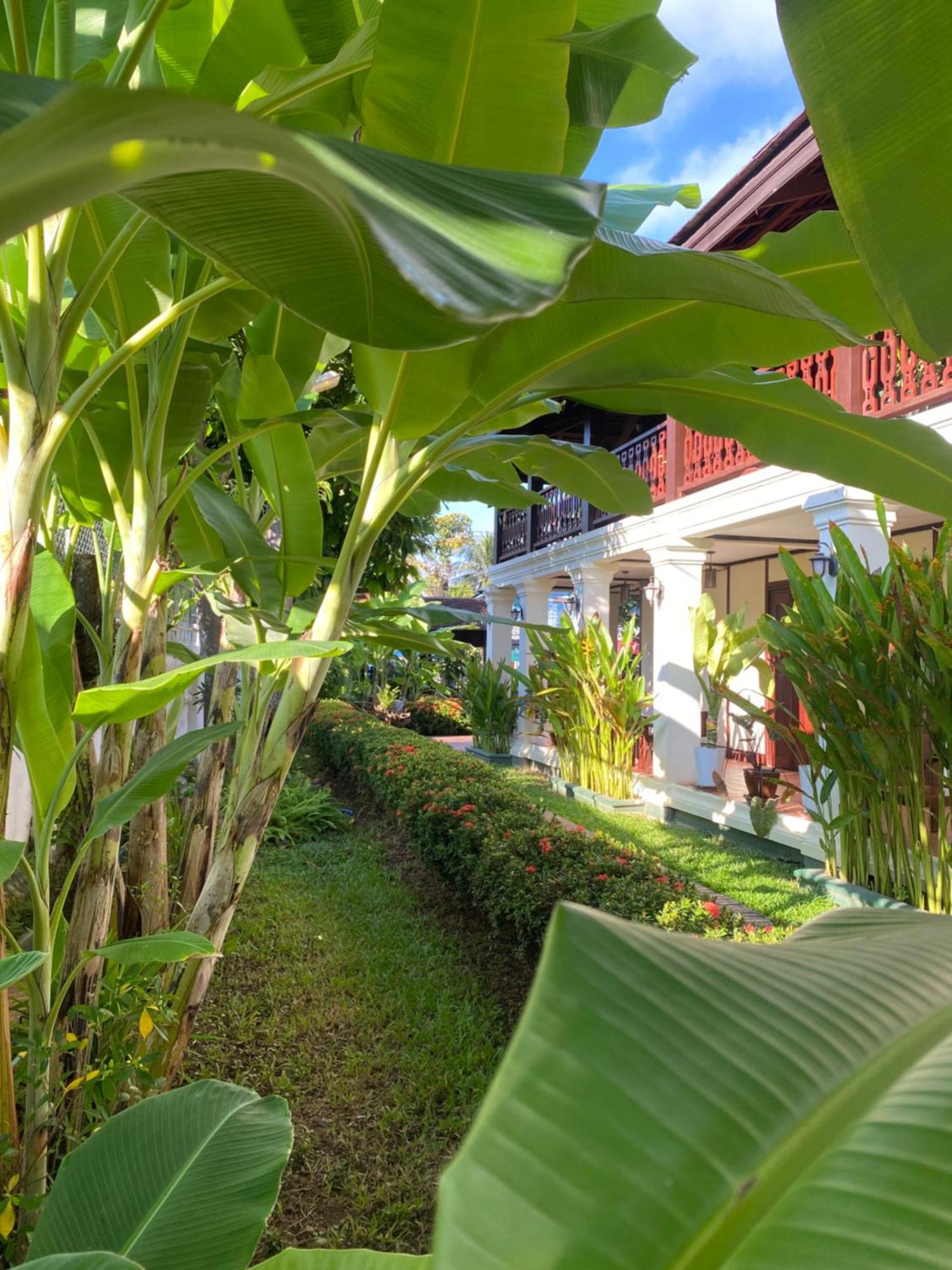 Luang Prabang Residence & Travel Extérieur photo