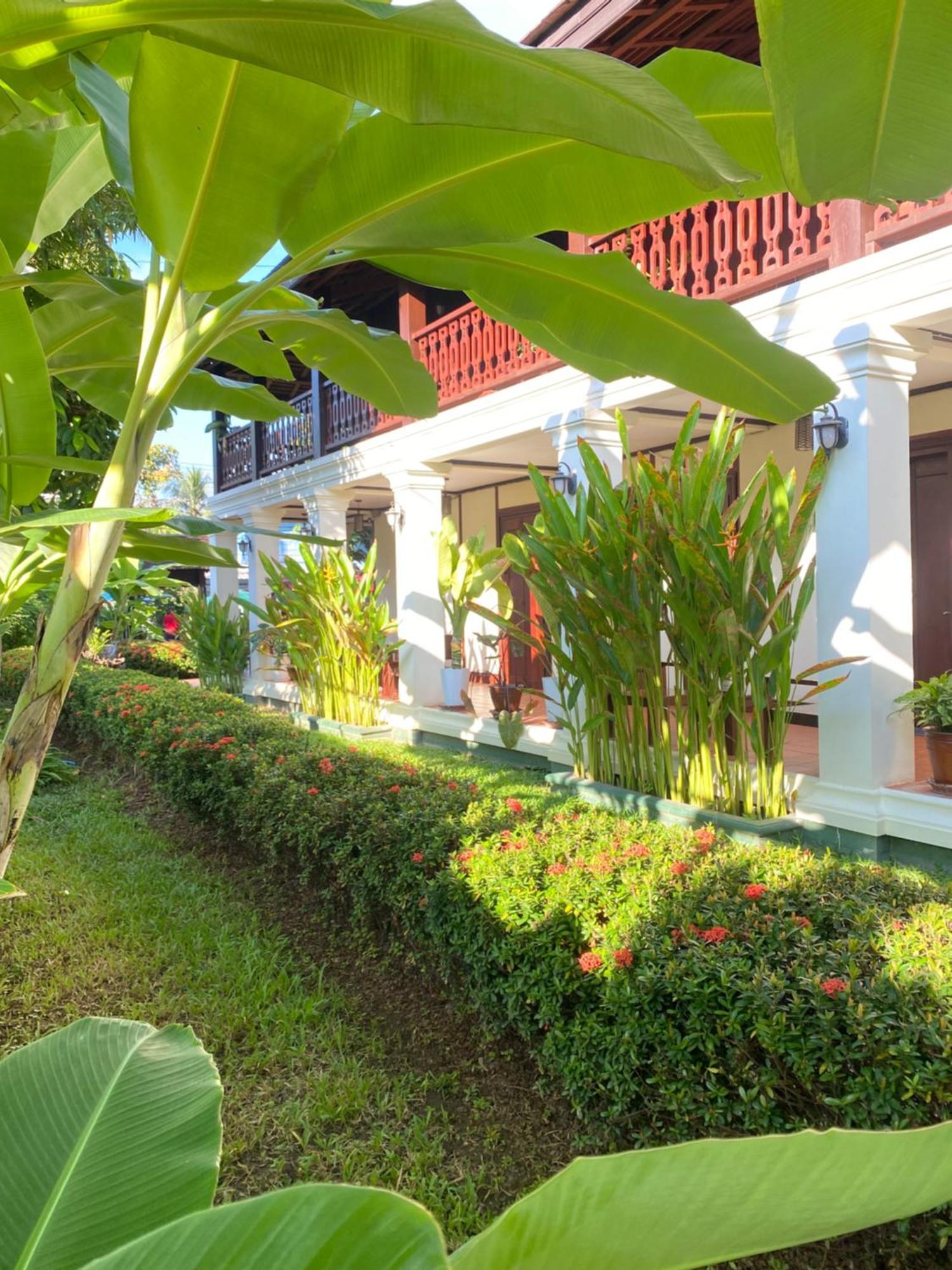 Luang Prabang Residence & Travel Extérieur photo