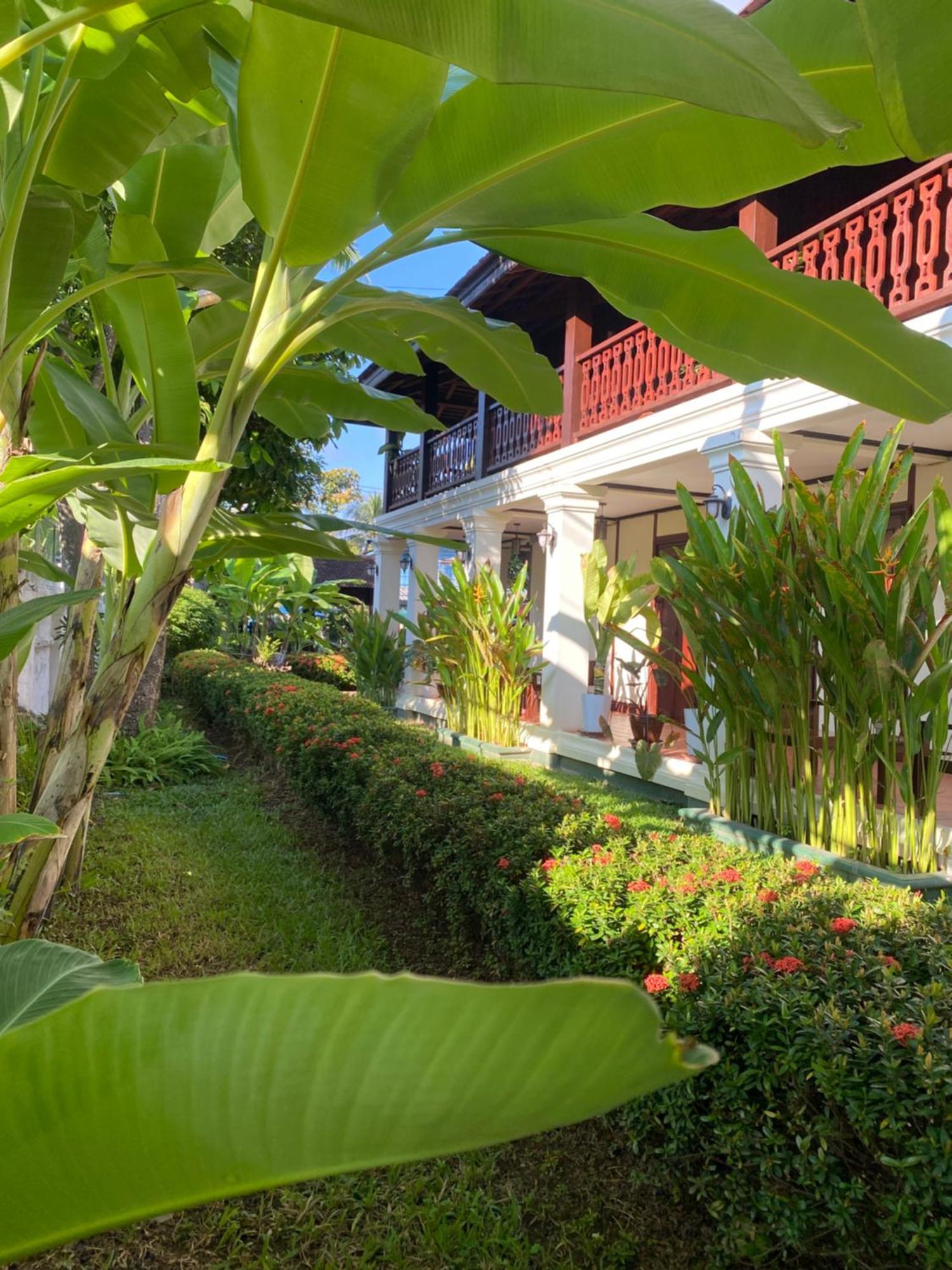 Luang Prabang Residence & Travel Extérieur photo