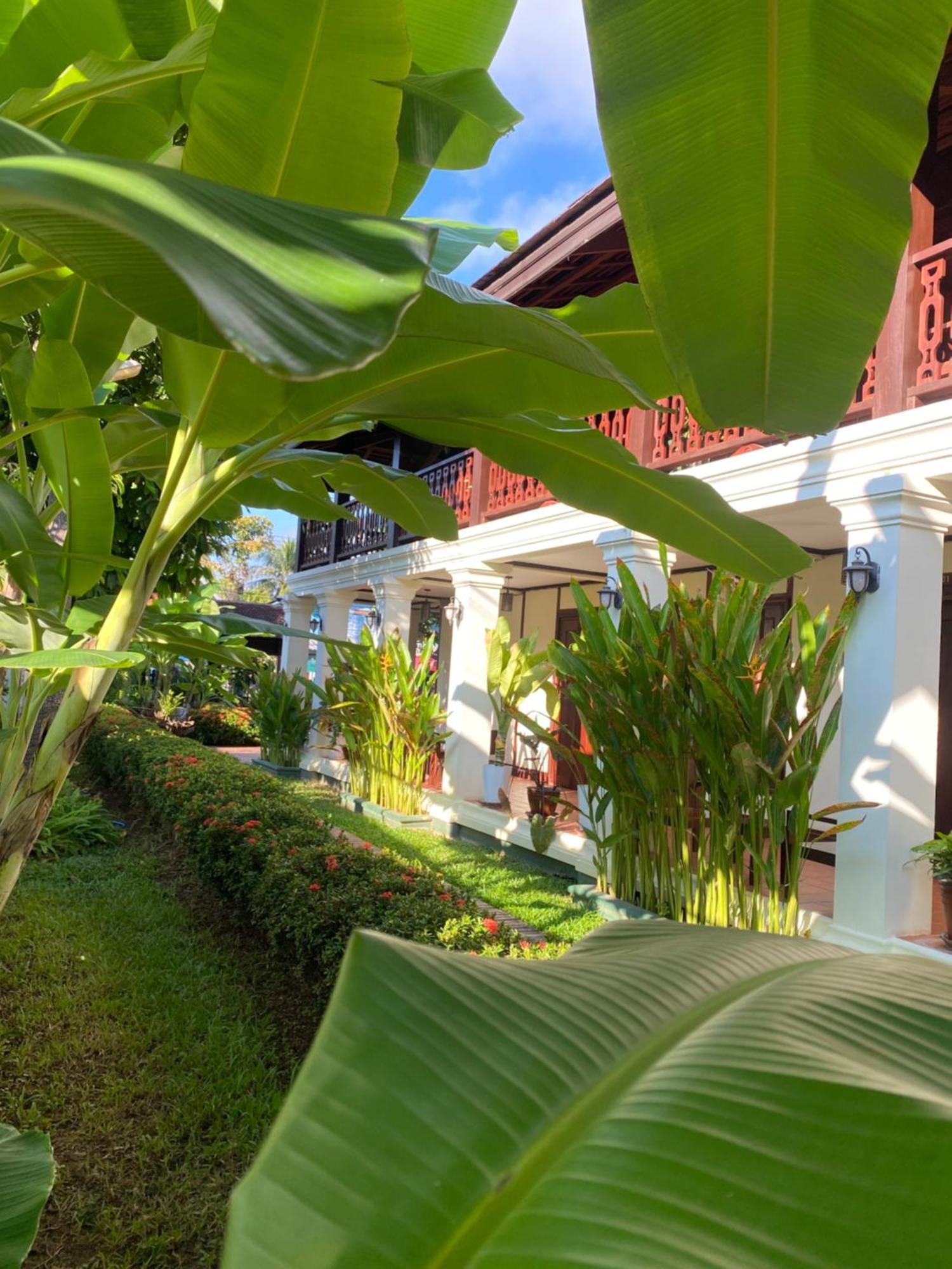 Luang Prabang Residence & Travel Extérieur photo